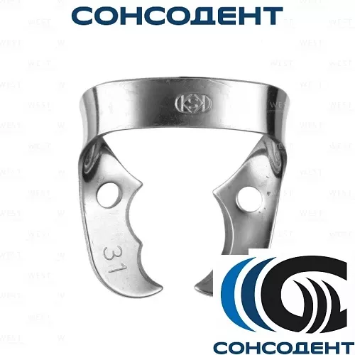 №31 Кламп (Dentech Corporation), 01012031