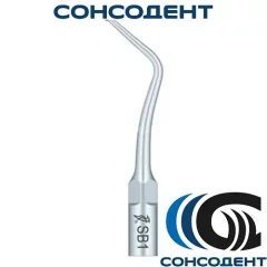 Насадка SB1 для снятия зубных отложений Woodpecker, SB1