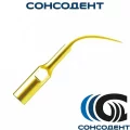 Насадка GD4T для снятия зубных отложений Woodpecker, GD4T