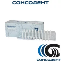 Kagayaki Enforce Pin / Кагаяки 125 полиры конус (10шт), EP-125-1 10 шт/планка