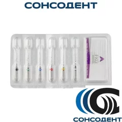 700 SRK-RACE Ni-Ti Basic set Bio BRO 19mm.№25 (6 шт) FKG, 700 Basic set BIO-RACE 21