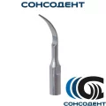 Насадка GD1 для снятия зубных отложений Woodpecker, GD1