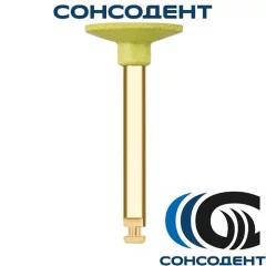 Полировальные головки для композитов P20038 (1 шт) NTI, P20038