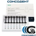 EsCom 250 / ЭсКом набор (8 х 4 г) Spident