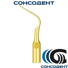 Насадка PD5 для снятия зубных отложений Woodpecker, 101-288