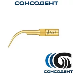 Насадка GD2T для снятия зубных отложений Woodpecker, GD2T